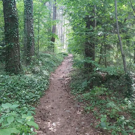 Apartament Bella Si Relax *